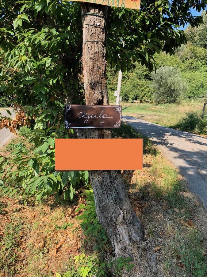 Agula Relais Appartamento Pugnano Buitenkant foto